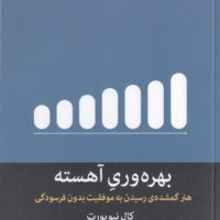 بهره وری آهسته