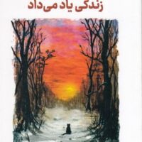 کتاب گربه ای که ذن یاد می داد