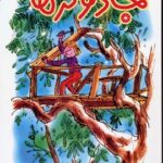 کتاب جادوگرها